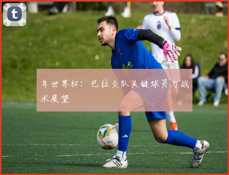 年世界杯：巴拉圭队关键球员与战术展望